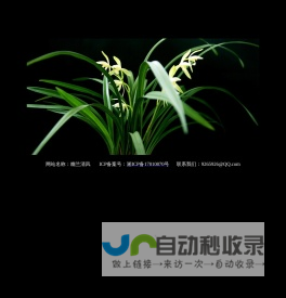幽兰清风